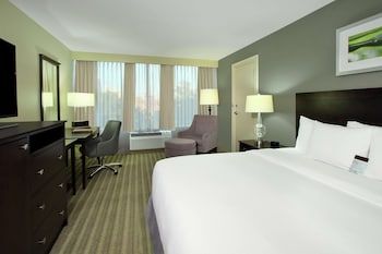 Room, 1 King Bed