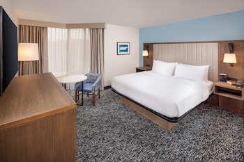 Room, 1 King Bed, Accessible, Bathtub