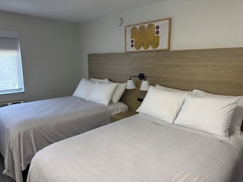 Studio Suite, 2 Double Beds