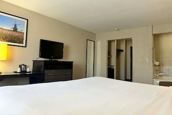 Deluxe Room, 1 King Bed, Non Smoking