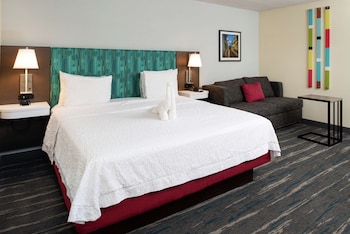 Room, 1 King Bed, Bathtub
