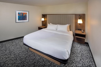 Room, 1 King Bed, Refrigerator