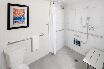 Room, 1 Queen Bed, Accessible (Mobility & Hearing, Roll-in Shower)