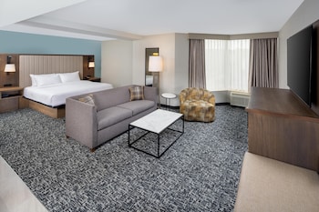 Room, 1 King Bed, Refrigerator