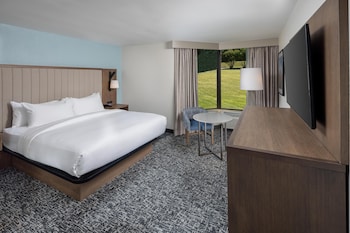 Room, 1 Queen Bed, Accessible (Mobility & Hearing, Roll-in Shower)