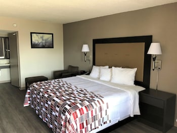 Superior Room, 1 King Bed, Non Smoking (Roll-In Shower)