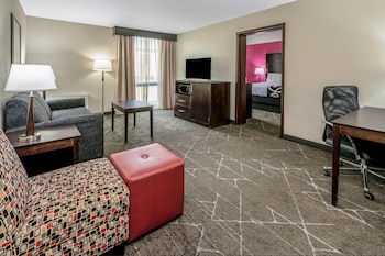 Suite, 1 King Bed, Non Smoking (Tub with Grab Bars)