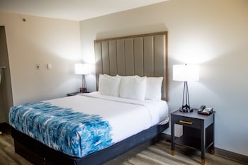 Room, 1 King Bed, Non Smoking