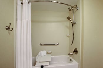 Room, 1 King Bed, Accessible, Non Smoking, Tub