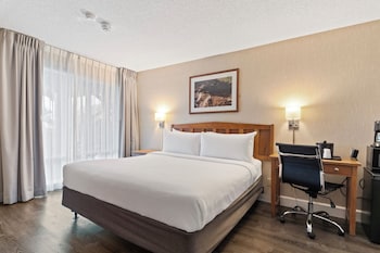 Standard Room, 1 King Bed, Roll-in Shower