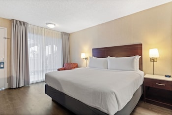 Business Room, 1 King Bed