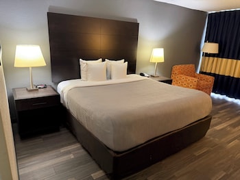 Business Room, 1 King Bed, Non Smoking