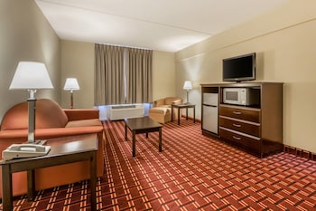 Suite, 1 King Bed with Sofa bed, Non Smoking