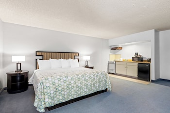 Studio, 1 King Bed, Non Smoking