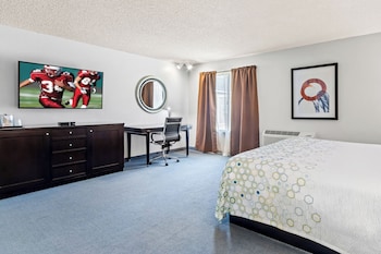 Studio, 1 King Bed, Non Smoking