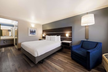 Standard Room, 1 King Bed, Accessible, Bathtub