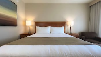 Room (Coast King)