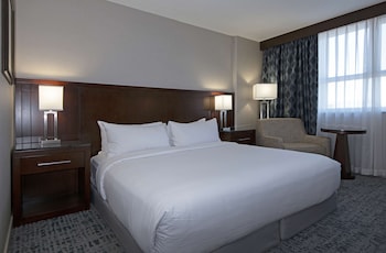 Room, 1 King Bed