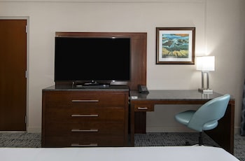 Room, 1 King Bed