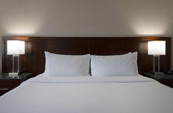Room, 1 King Bed
