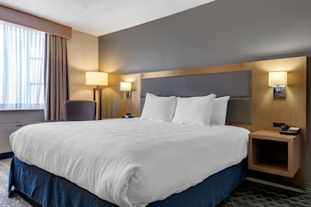 Executive Room, 1 King Bed, Non Smoking