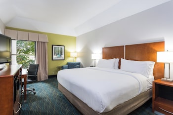 Room, 1 King Bed, Accessible, Non Smoking (Roll-In Shower)