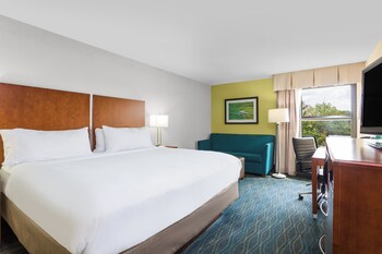 Room, 1 King Bed with Sofa bed, Non Smoking (MOBILITY)