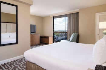 Room, 1 King Bed