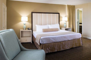 Suite, 1 King Bed
