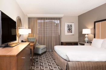 Room, 1 King Bed