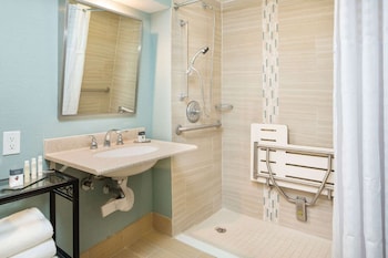 Room, 1 Queen Bed, Accessible (Roll In Shower)