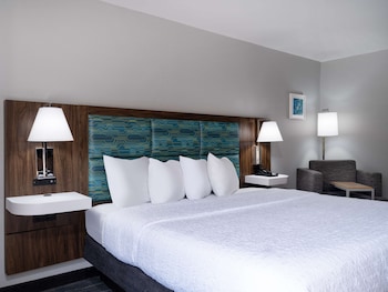 Suite, 1 King Bed, Non Smoking