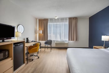Room, 1 King Bed, Non Smoking (LVT Flooring)