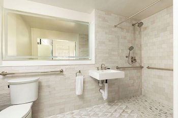 Standard Room, 1 King Bed, Roll-in Shower