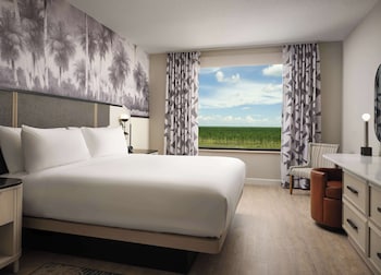 Suite, 1 King Bed (Caribe)