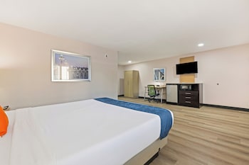 Room, 1 King Bed, Roll-in Shower