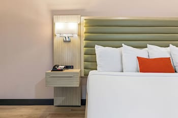 Room, 1 King Bed