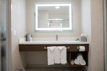 Room, 1 King Bed, Accessible (Roll-In Shower)