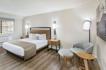 Room, 1 King Bed, Non Smoking