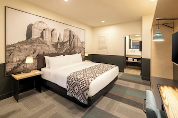 Room, 1 King Bed