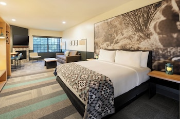 Junior Studio Suite, 1 King Bed with Sofa bed