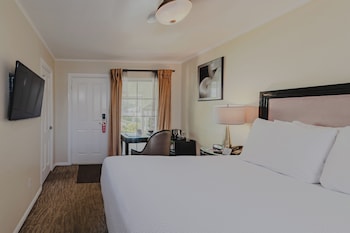 Room, 1 Queen Bed