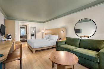 Standard Room, 1 King Bed, Roll-in Shower (Mobility Accessible)
