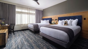 Junior Suite, One Bedroom, 2 Queen Beds