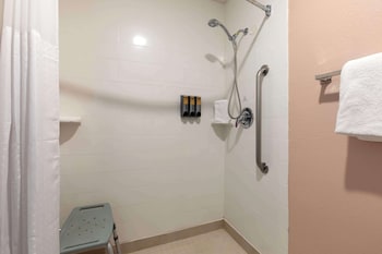 Standard Room, 1 King Bed, Accessible, Refrigerator & Microwave