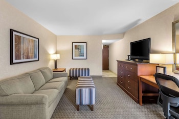 Room, 1 King Bed
