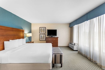 Room, 1 King Bed