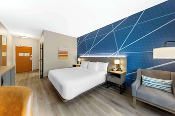 Room, 1 King Bed, Accessible, Non Smoking