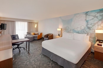 Room, 1 King Bed