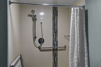 Room, 1 King Bed, Accessible, Bathtub